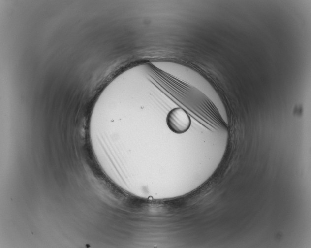X0000111630264200908141350