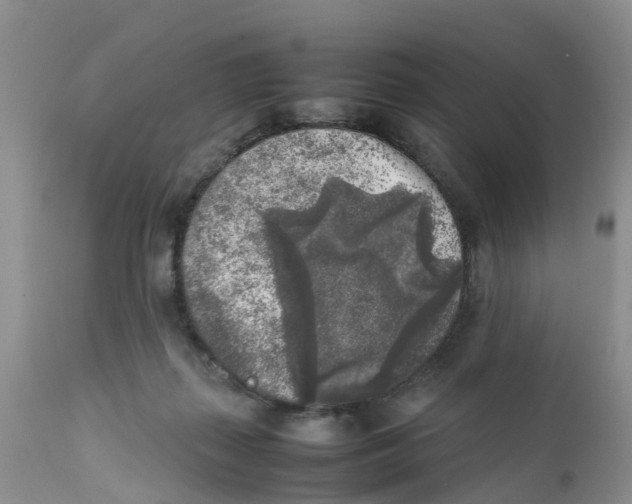 X0000111630267200908141350