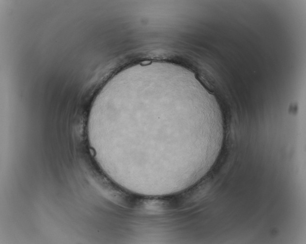 X0000111630268200908141350