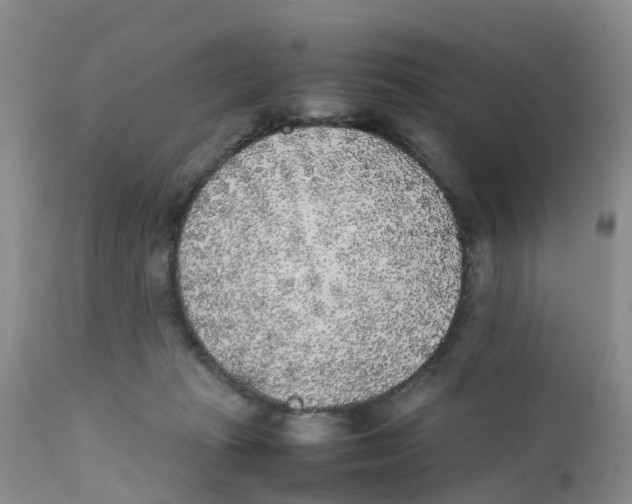 X0000111630269200908141350