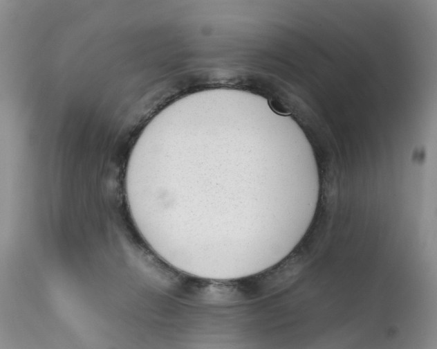 X0000111630270200908141350