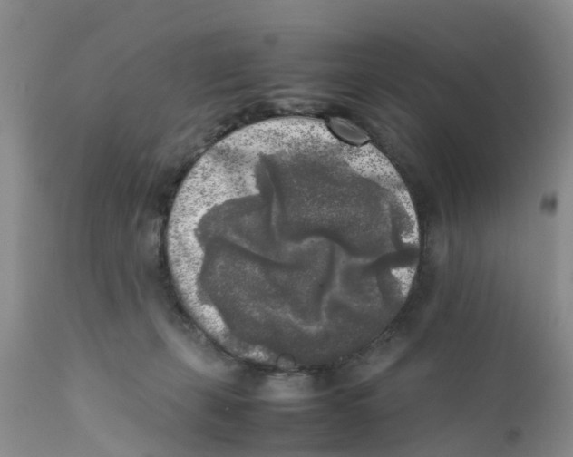 X0000111630271200908141350