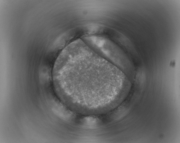 X0000111630272200908141350