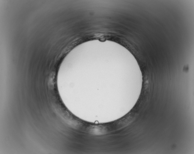 X0000111630275200908141350