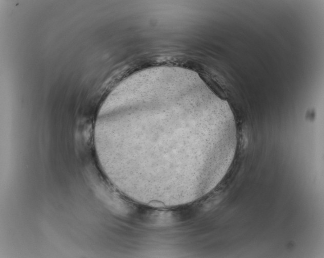 X0000111630276200908141350