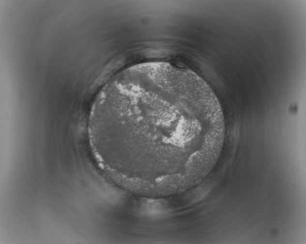 X0000111630277200908141350