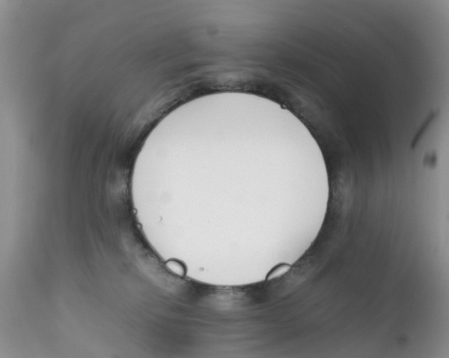 X0000111630278200908141350