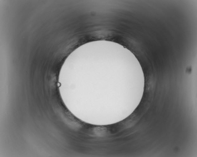 X0000111630279200908141350