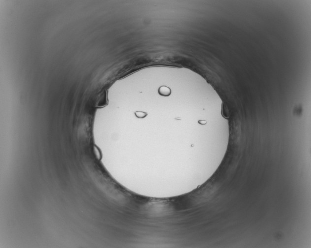 X0000111630280200908141350
