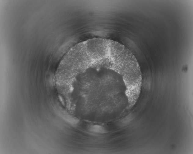 X0000111630285200908141351