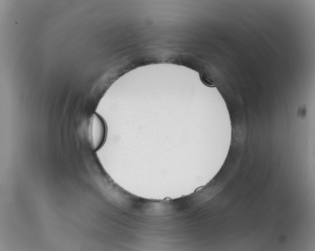 X0000111630286200908141351