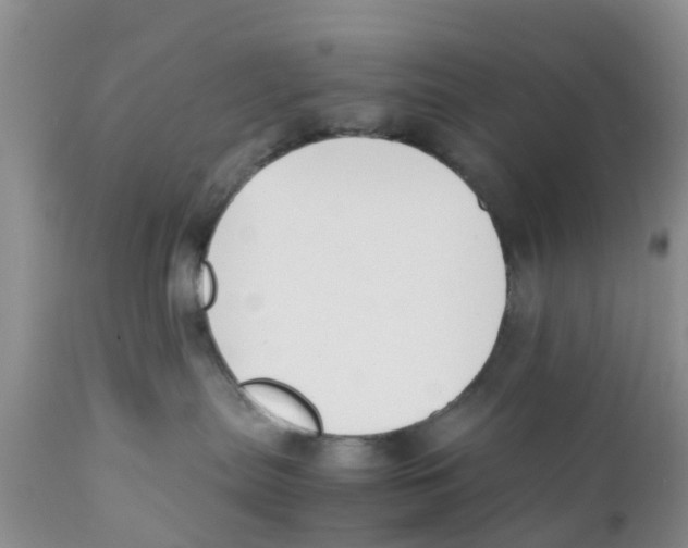 X0000111630287200908141351