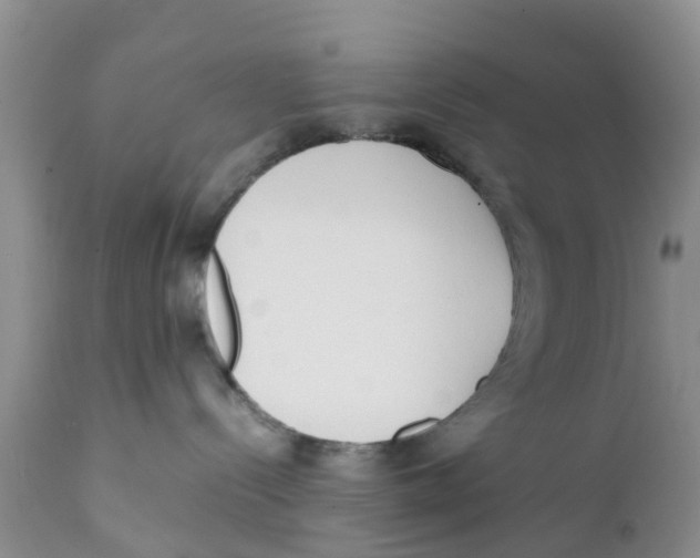X0000111630288200908141351