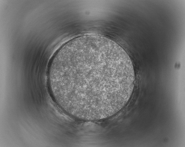 X0000111630290200908141350