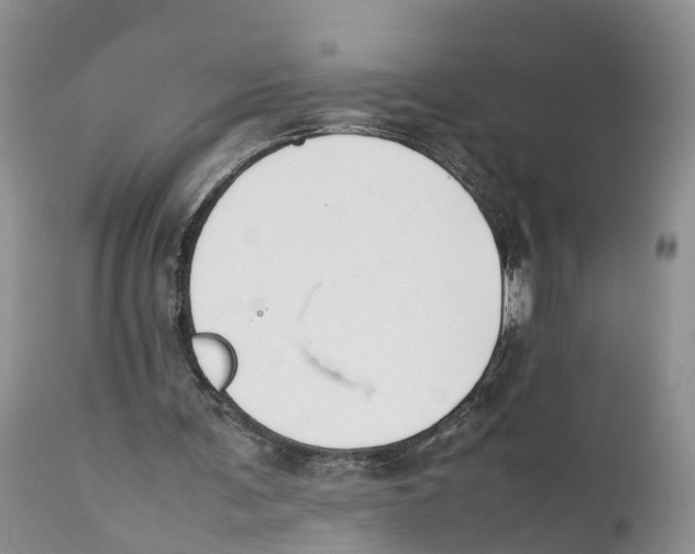 X0000111630291200908141350