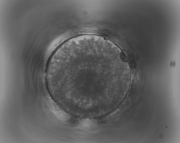 X0000111630293200908141350
