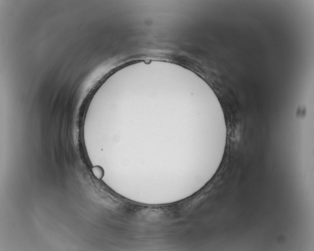 X0000111630294200908141350