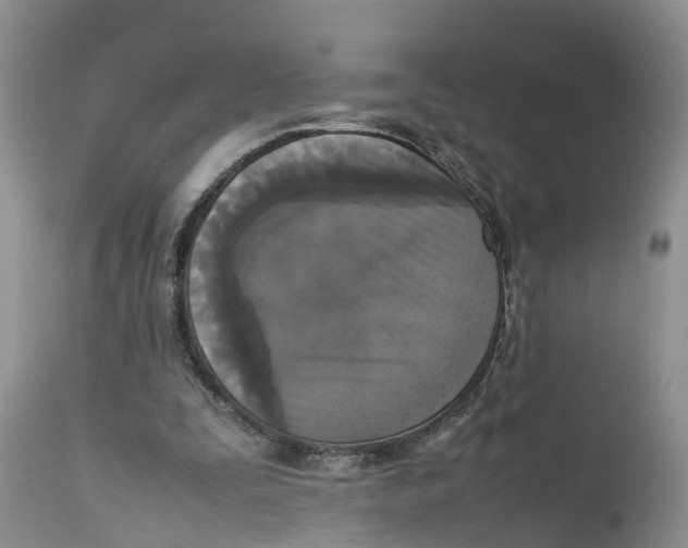 X0000111630295200908141350