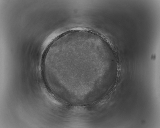 X0000111630296200908141350