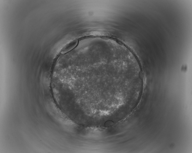 X0000111630297200908141350