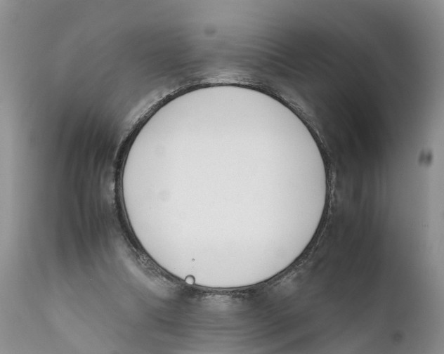 X0000111630298200908141350