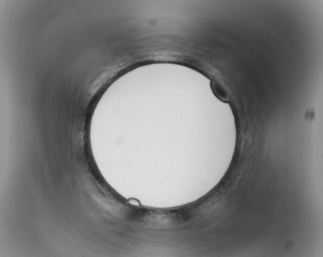 X0000111630299200908141350