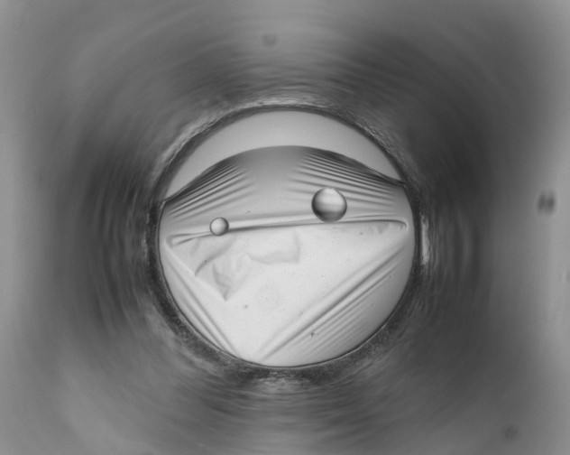 X0000111630300200908141350