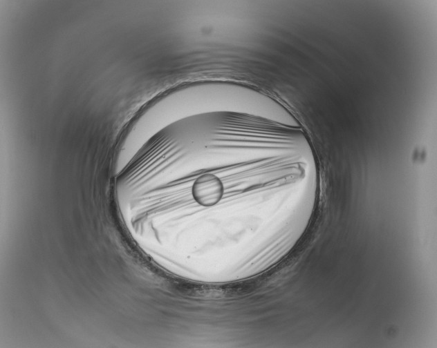 X0000111630301200908141350