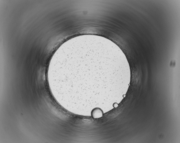 X0000111630302200908141350