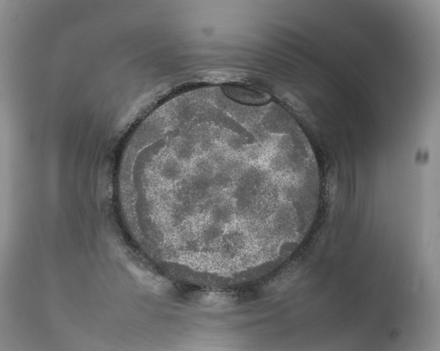 X0000111630303200908141350