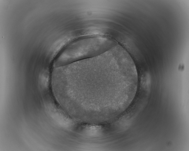 X0000111630304200908141350