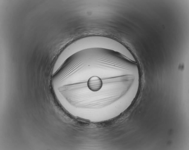 X0000111630305200908141350