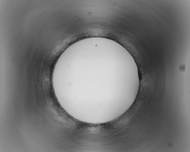 X0000111630306200908141350