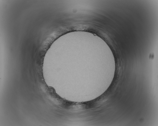 X0000111630307200908141350