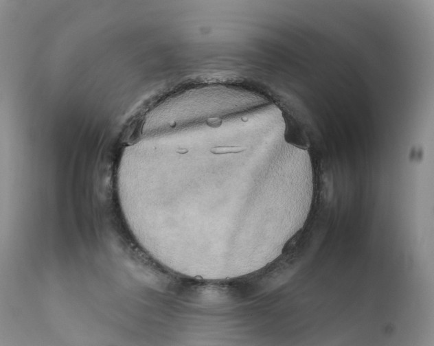 X0000111630308200908141350