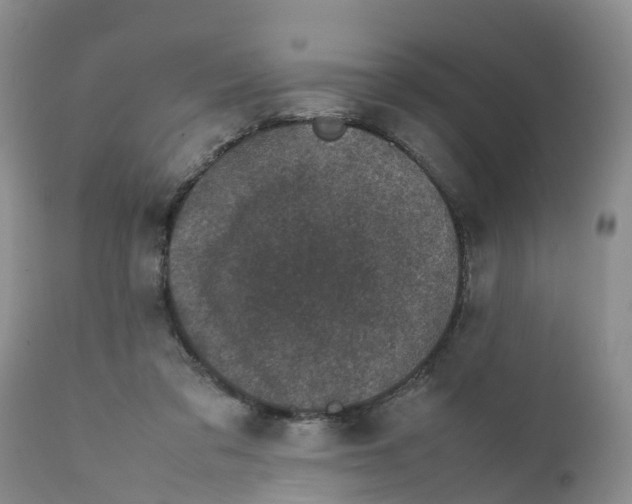 X0000111630309200908141350
