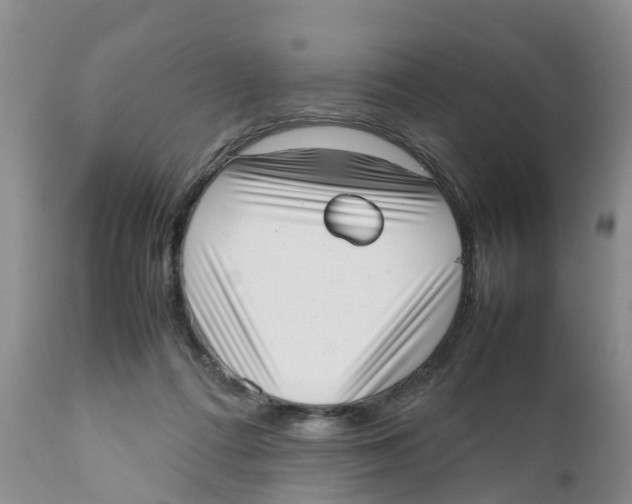 X0000111630312200908141350