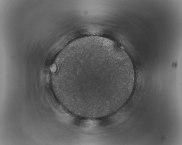 X0000111630313200908141350