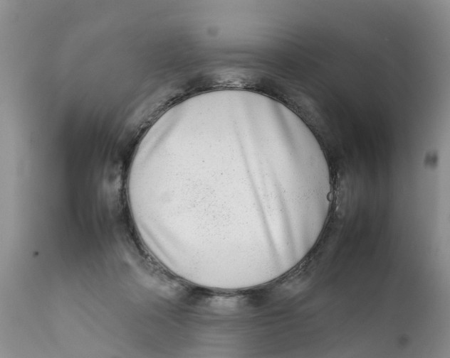 X0000111630314200908141350
