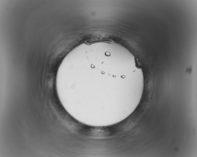 X0000111630315200908141350