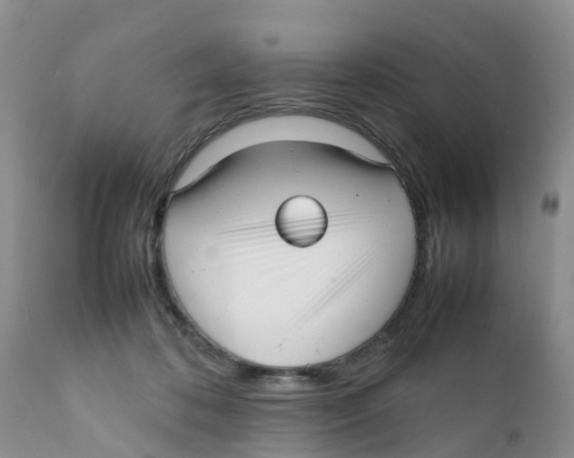 X0000111630316200908141350