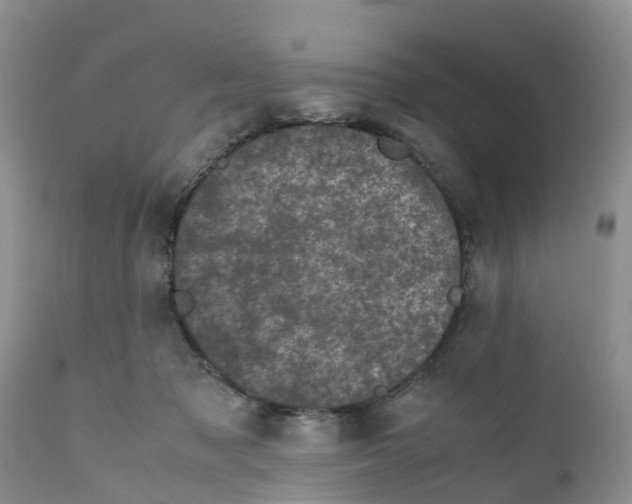 X0000111630317200908141350