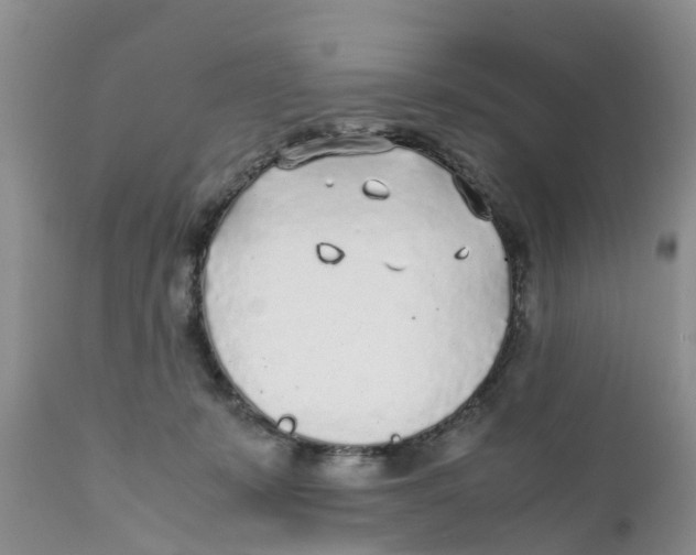 X0000111630319200908141350