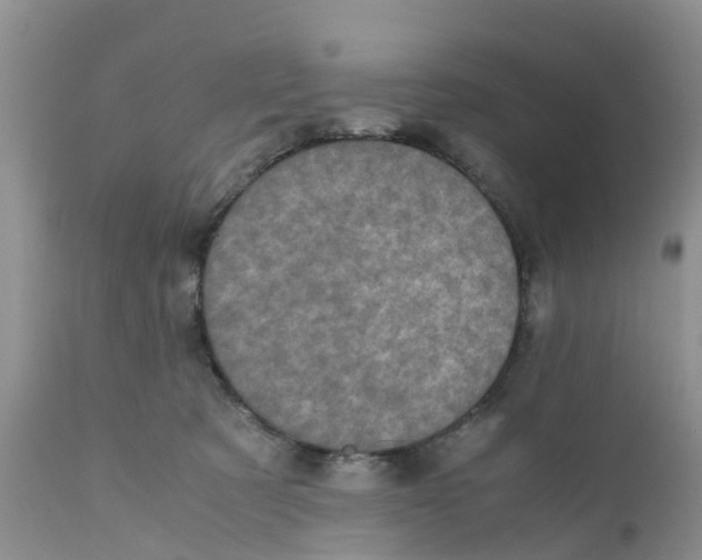 X0000111630321200908141349
