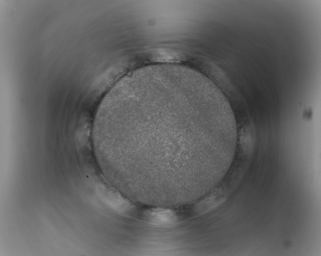 X0000111630322200908141349