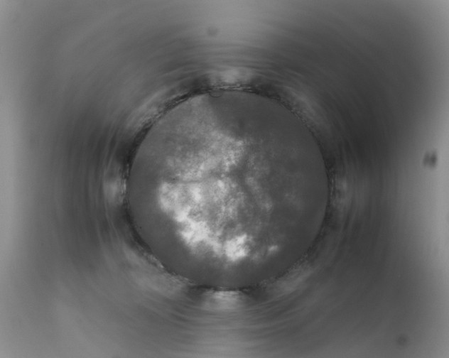X0000111630324200908141349