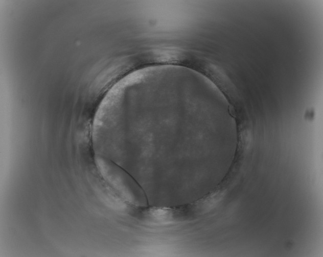X0000111630325200908141349
