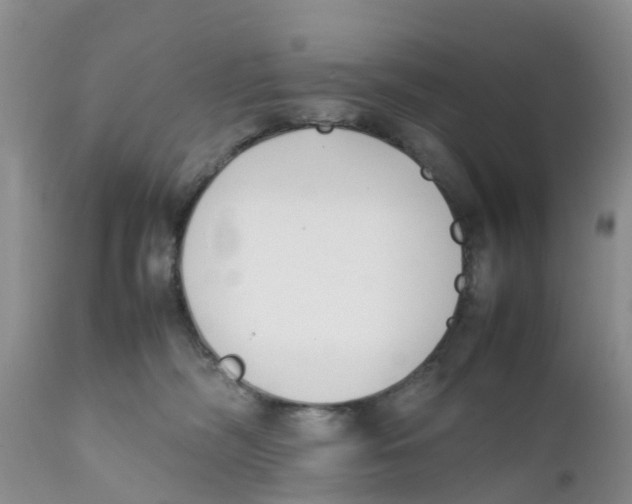 X0000111630326200908141349