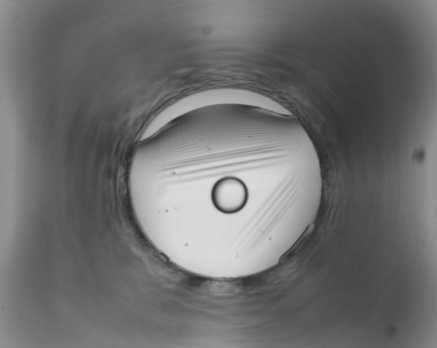 X0000111630327200908141349