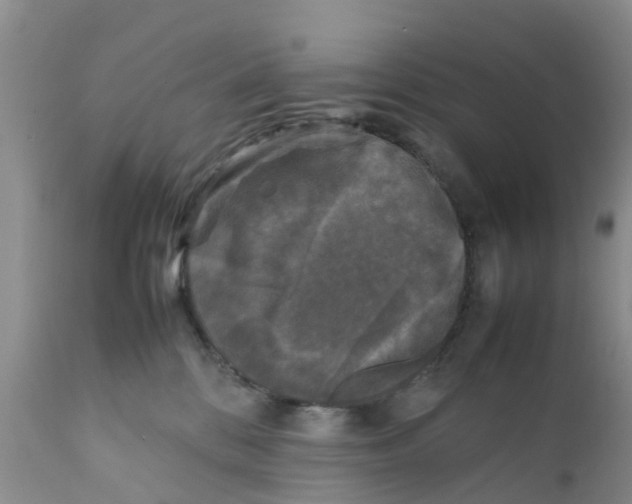 X0000111630328200908141349